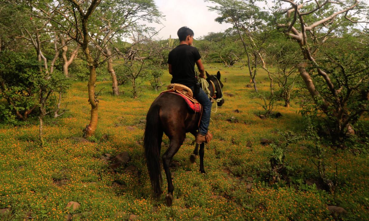 Ecoturismo - Senderismo