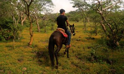 Ecoturismo - Senderismo