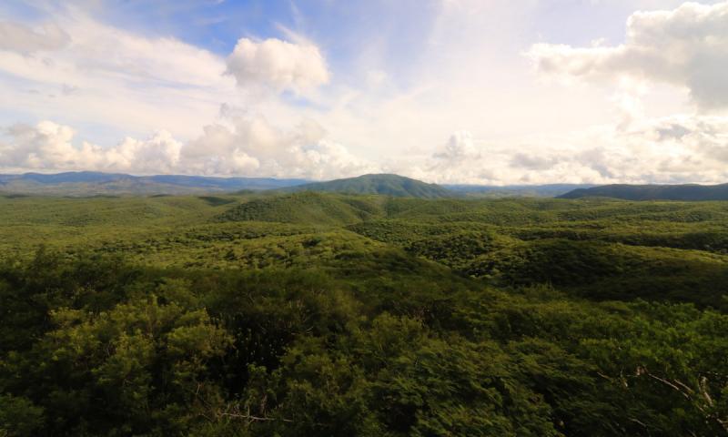 Unidades de Manejo para la Conservación de la Vida Silvestre (UMA)