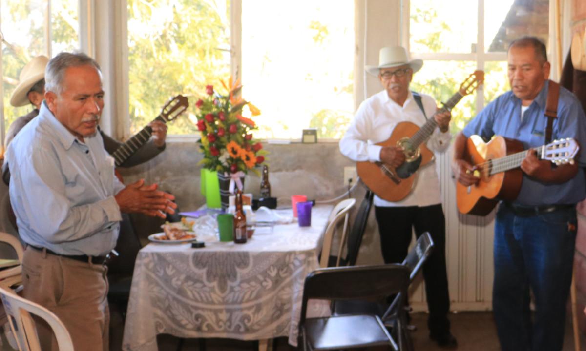 Músicos líricos