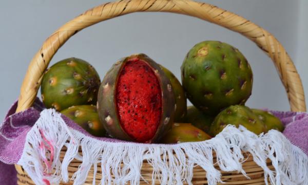Pitaya de Mayo [Stenocereus pruinosus]